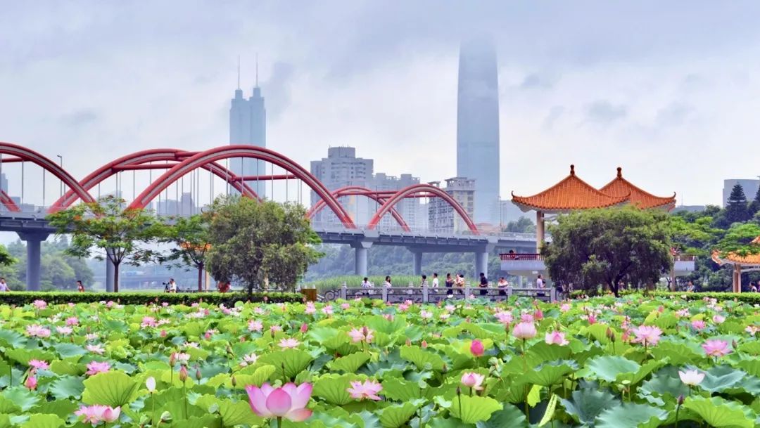 鍒涙柊閲戣瀺鎬婚儴鍩哄湴,鍒涙柊閲戣瀺涓績