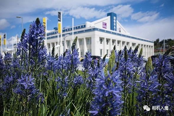 买理光gr2还是gr3,理光gr值得买吗