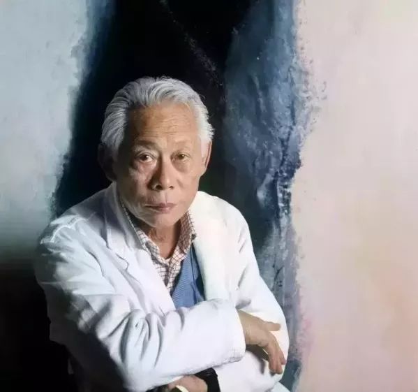 赵无极绘画艺术成就,赵无极绘画的12个要点