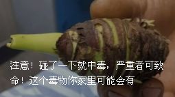 巨大圈套骗局揭秘,大型骗局揭秘