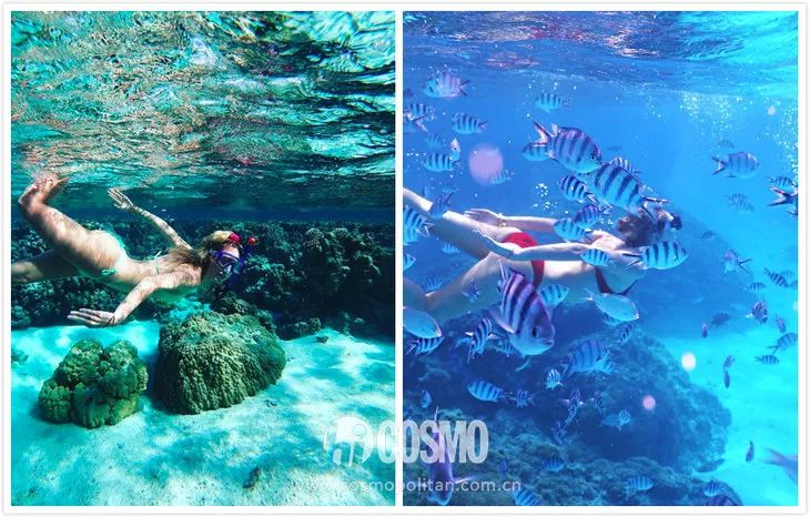 戛纳海边拍摄写真,十条海滩拍摄的小建议