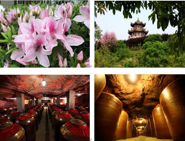 章贡区宋城文化旅游景区,章贡酒业景区