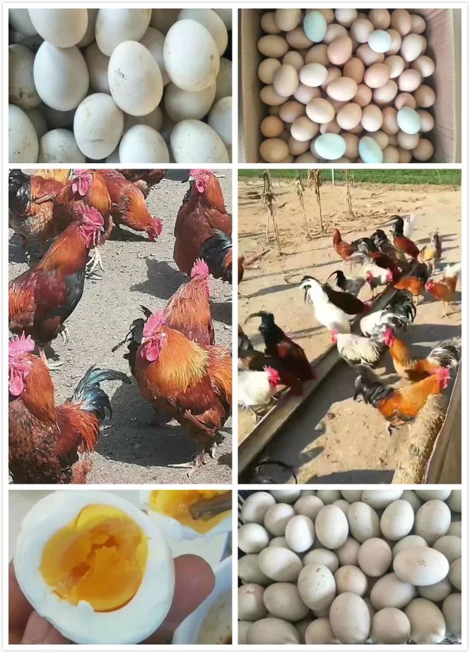 享遍奈曼美食，尽在吃货大联盟