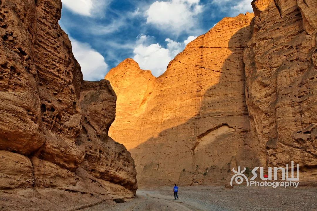 黄河石林奇观大全,黄河石林有多震撼