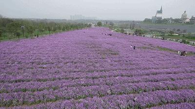 优惠活动喜迎六一赢好礼,六一特惠福利