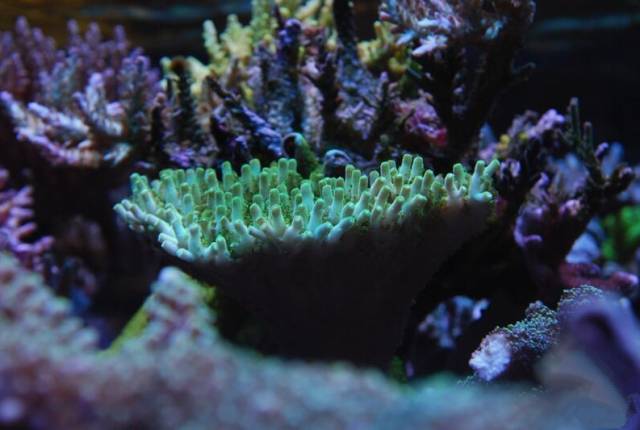 鉴定完毕！这一定是个有钱的主儿