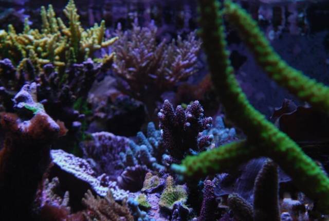 鉴定完毕！这一定是个有钱的主儿