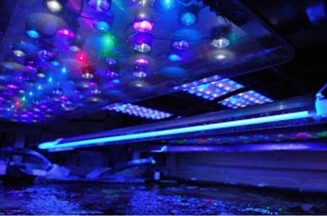 鉴定完毕！这一定是个有钱的主儿