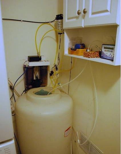 鉴定完毕！这一定是个有钱的主儿