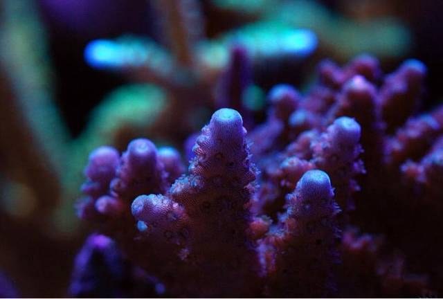 鉴定完毕！这一定是个有钱的主儿