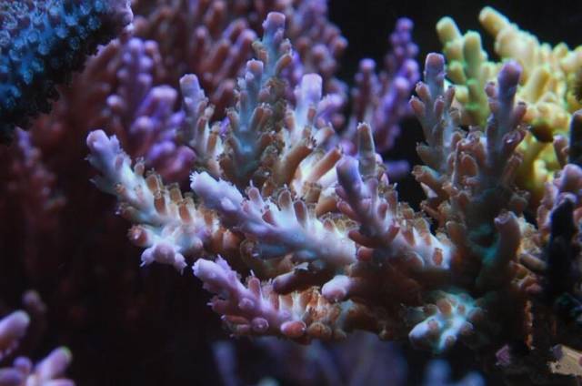 鉴定完毕！这一定是个有钱的主儿