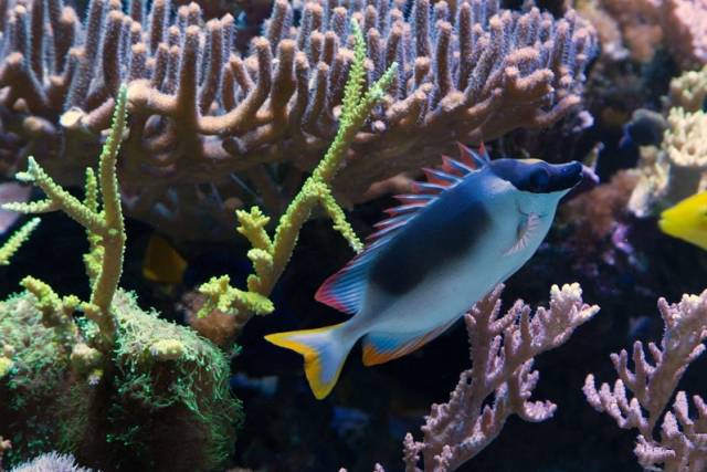 鉴定完毕！这一定是个有钱的主儿