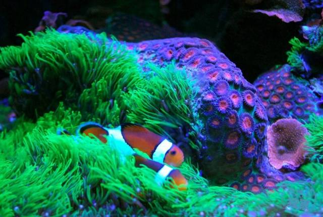 鉴定完毕！这一定是个有钱的主儿