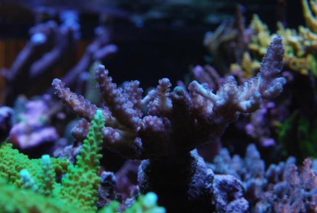 鉴定完毕！这一定是个有钱的主儿