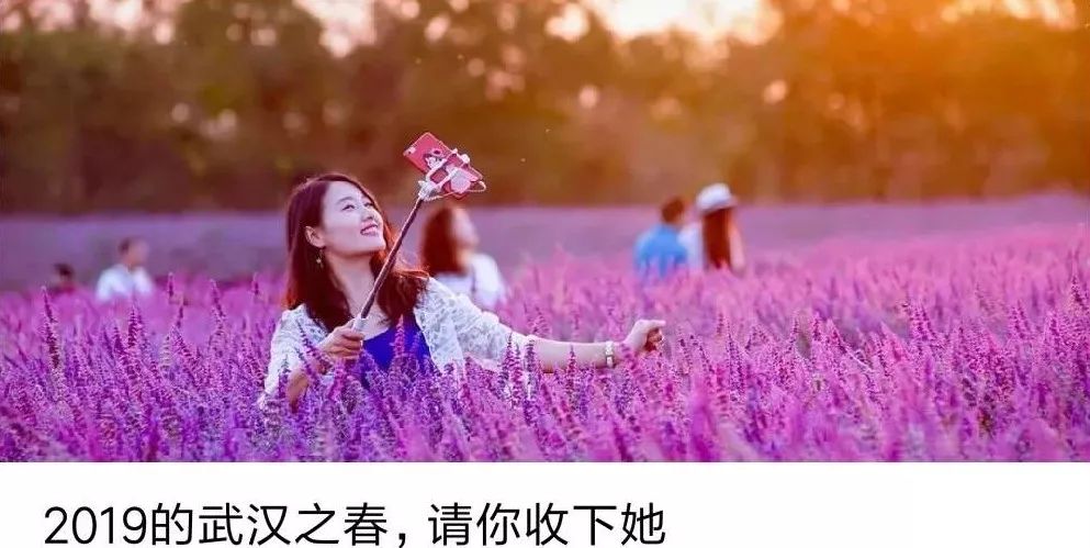 优惠活动喜迎六一赢好礼,六一特惠福利