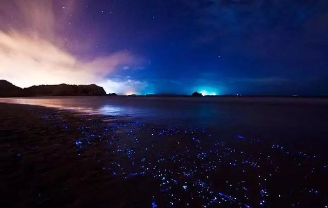 大V推荐|追泪记:手把手教你两天一夜玩转平潭岛