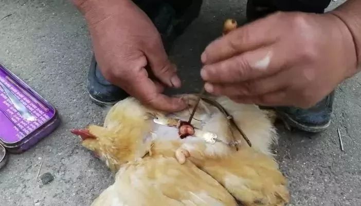 月入过万的高薪行业,冷门打工月入过万