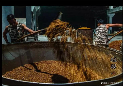 “我看邢”——“千年古县”宁晋行“一区六园”产业兴