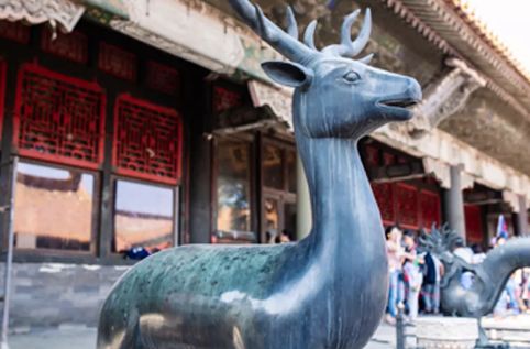 宫里面的衣服,这才是国潮t恤