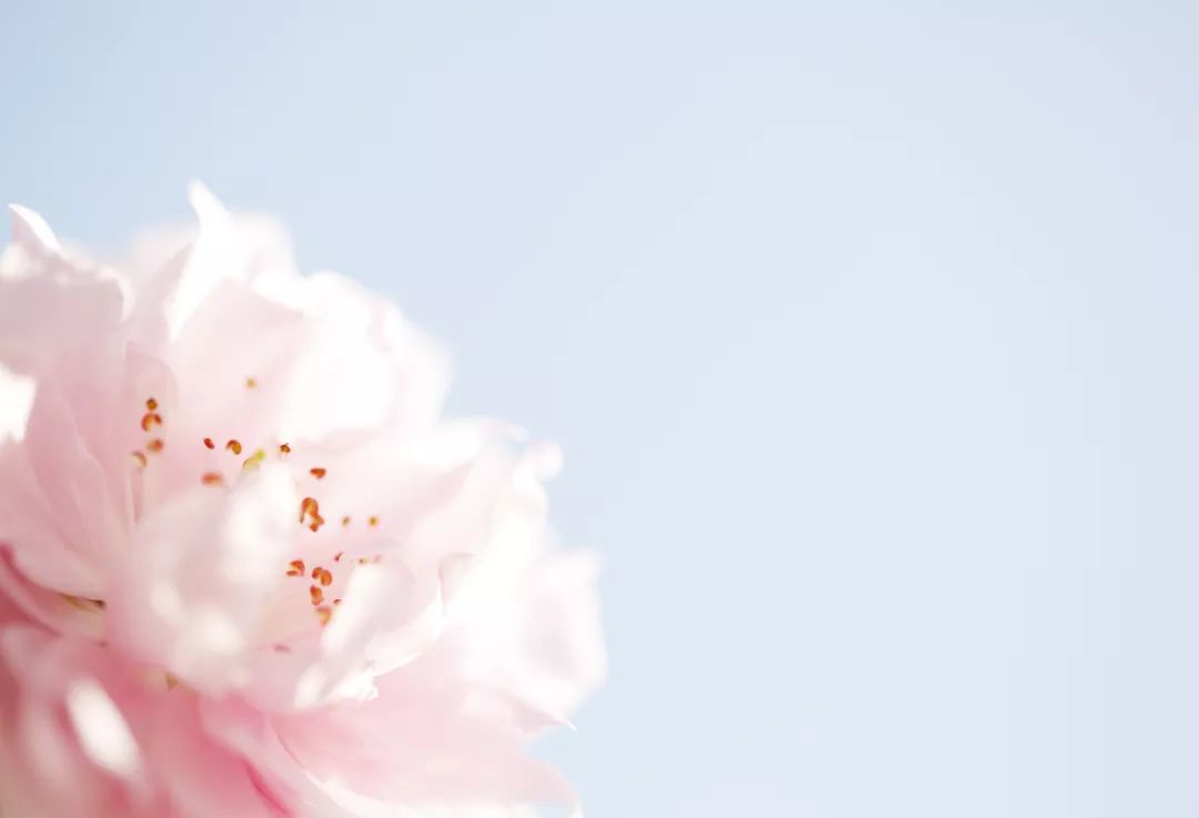 「有声|公司」伊斯佳:专业线与日化线并举,全力推进化妆品智能制造私人定制「安信诸海滨团队」