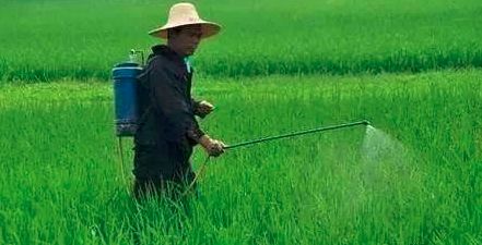 打过除草剂的喷雾器多久就没毒了,打过除草剂的喷雾器