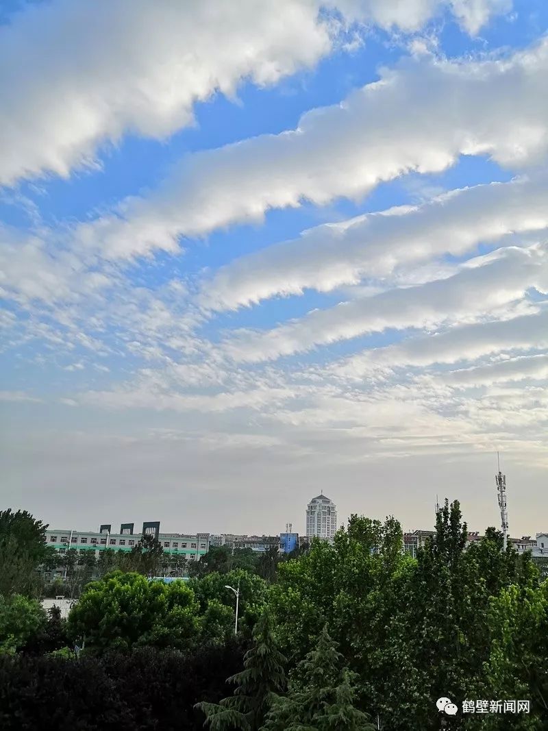 鹤壁新闻网通报,鹤壁新闻网头条新闻