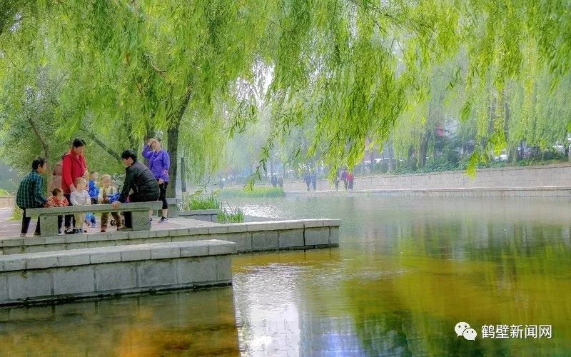 鹤壁新闻网通报,鹤壁新闻网头条新闻