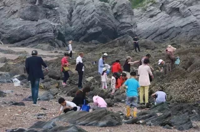 大连赶海抓海鲜的最佳地点黑石礁,大连市区蚬子赶海地点推荐