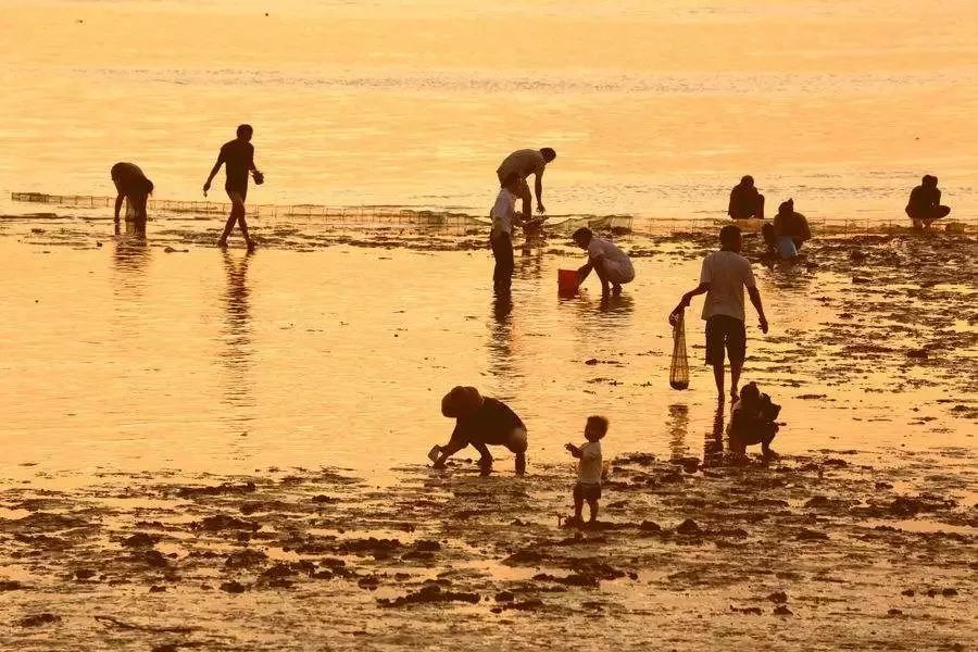 大连赶海抓海鲜的最佳地点黑石礁,大连市区蚬子赶海地点推荐