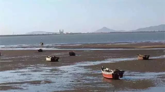 大连赶海抓海鲜的最佳地点黑石礁,大连市区蚬子赶海地点推荐