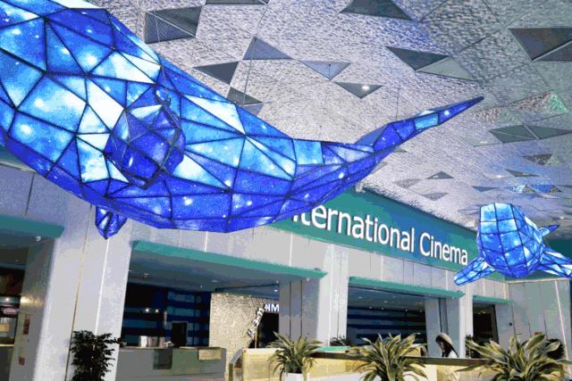 适合约会去电影院看的电影,城南适合约会的电影院