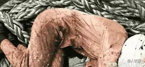 2021年船员高薪招聘是真的吗,远航船员招聘条件