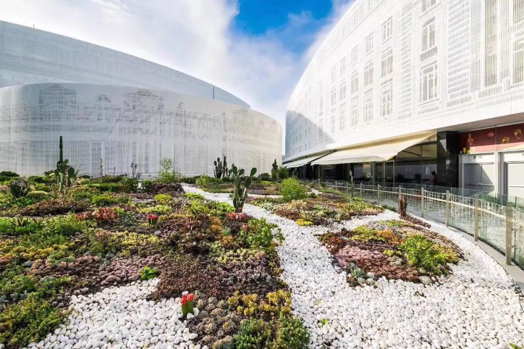 浦东新地标480米,上海浦东逛吃一条街