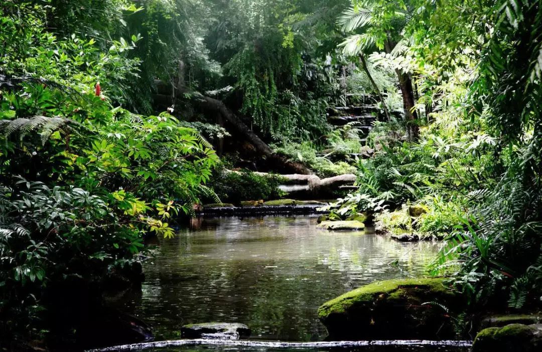 泰国蚊子叮咬止痒膏成人,蚊虫叮咬最管用泰国药膏