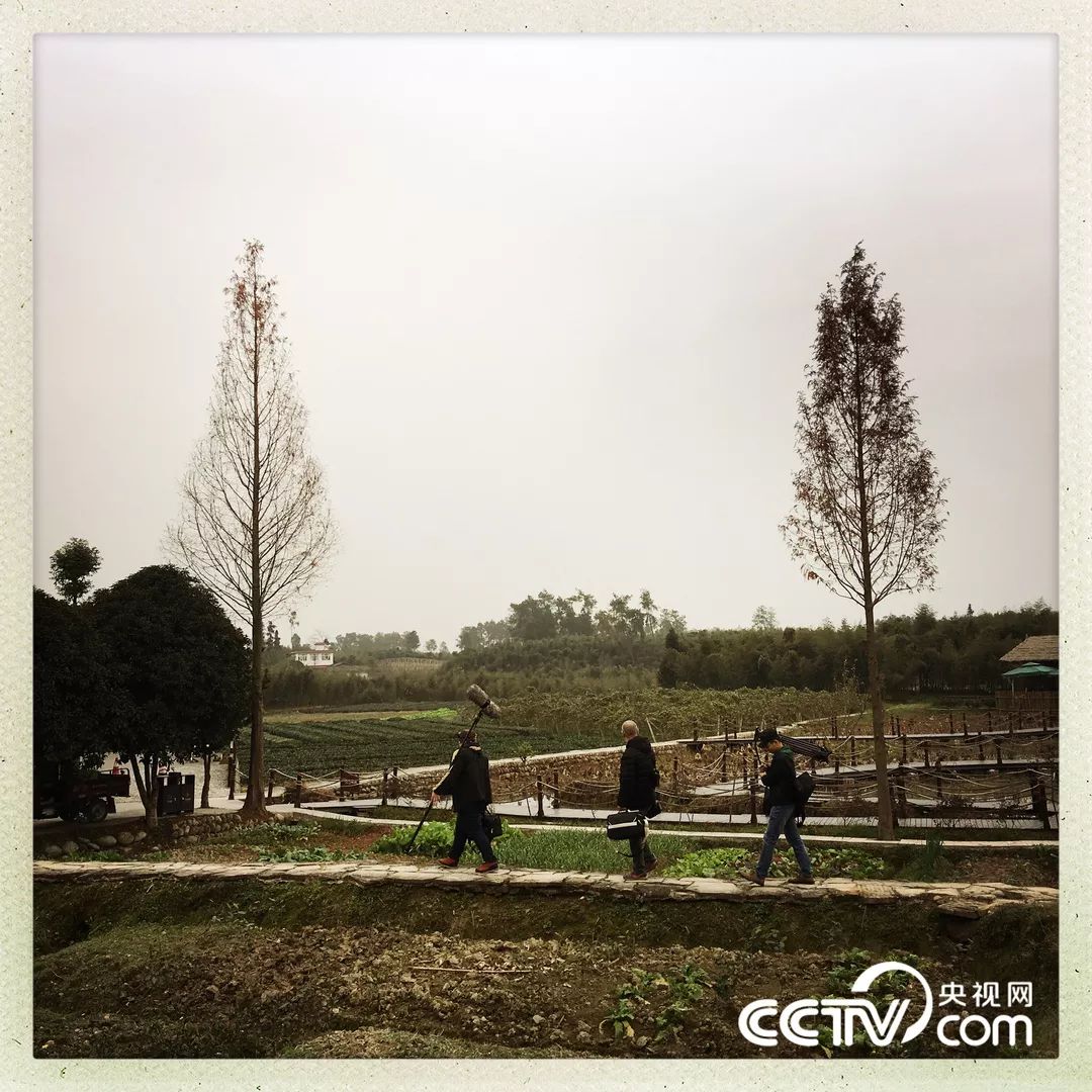 bbc中国城市纪录片,中国边境城市纪录片