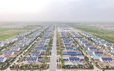 【他山之石】治懒病有良方