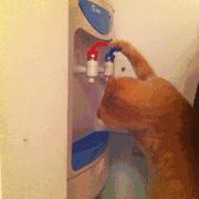 消防知识露天燃烧的危害,消防饮水机灭火