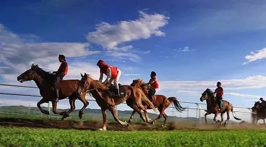 来呀！一起到江宁马场策马奔腾呀