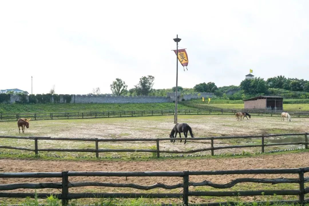 来呀！一起到江宁马场策马奔腾呀