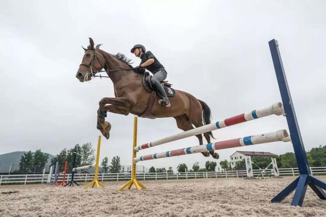 来呀！一起到江宁马场策马奔腾呀