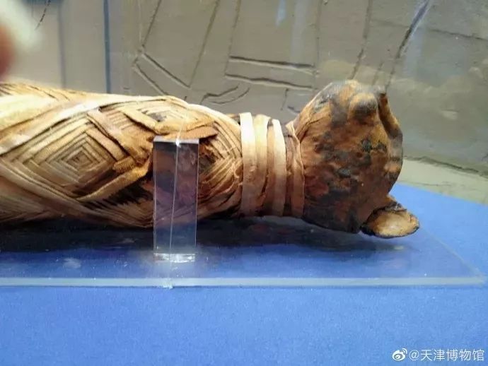 「滨海鲜闻」最恐怖最惊艳最刺激的开箱……一般人真看不了！