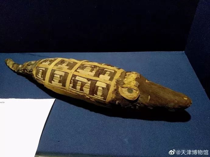 「滨海鲜闻」最恐怖最惊艳最刺激的开箱……一般人真看不了！