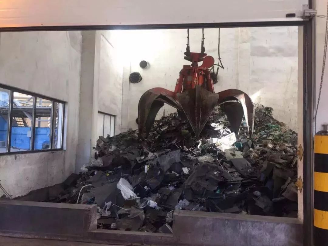 「滨海鲜闻」最恐怖最惊艳最刺激的开箱……一般人真看不了！