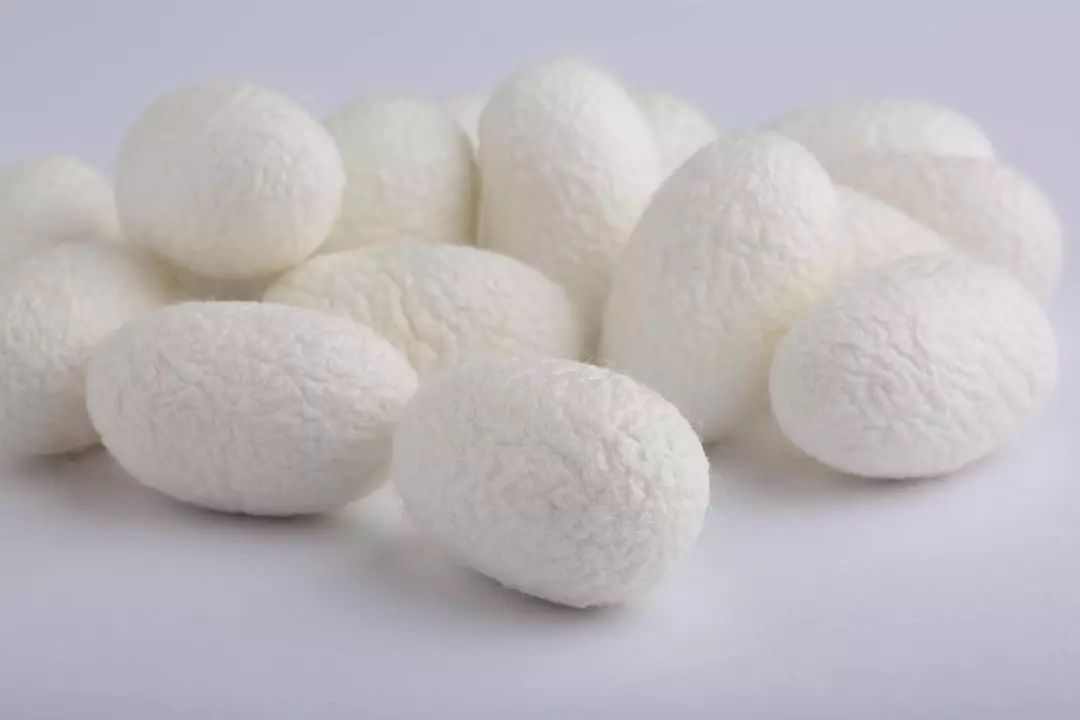 便宜的蚕丝被有什么套路,蚕丝被每日抢购