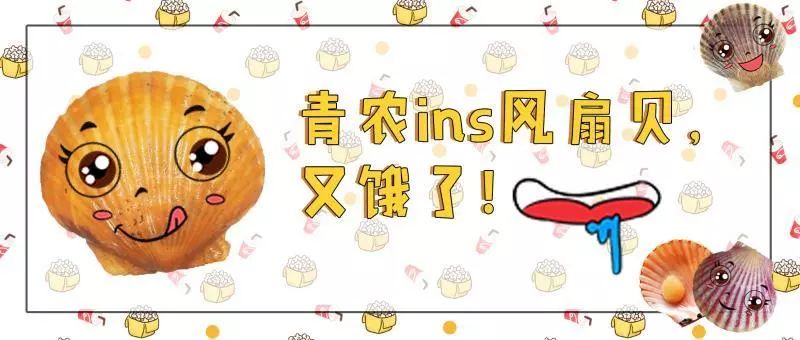 ins风！青农大学育出金色扇贝堪称“王者贝”