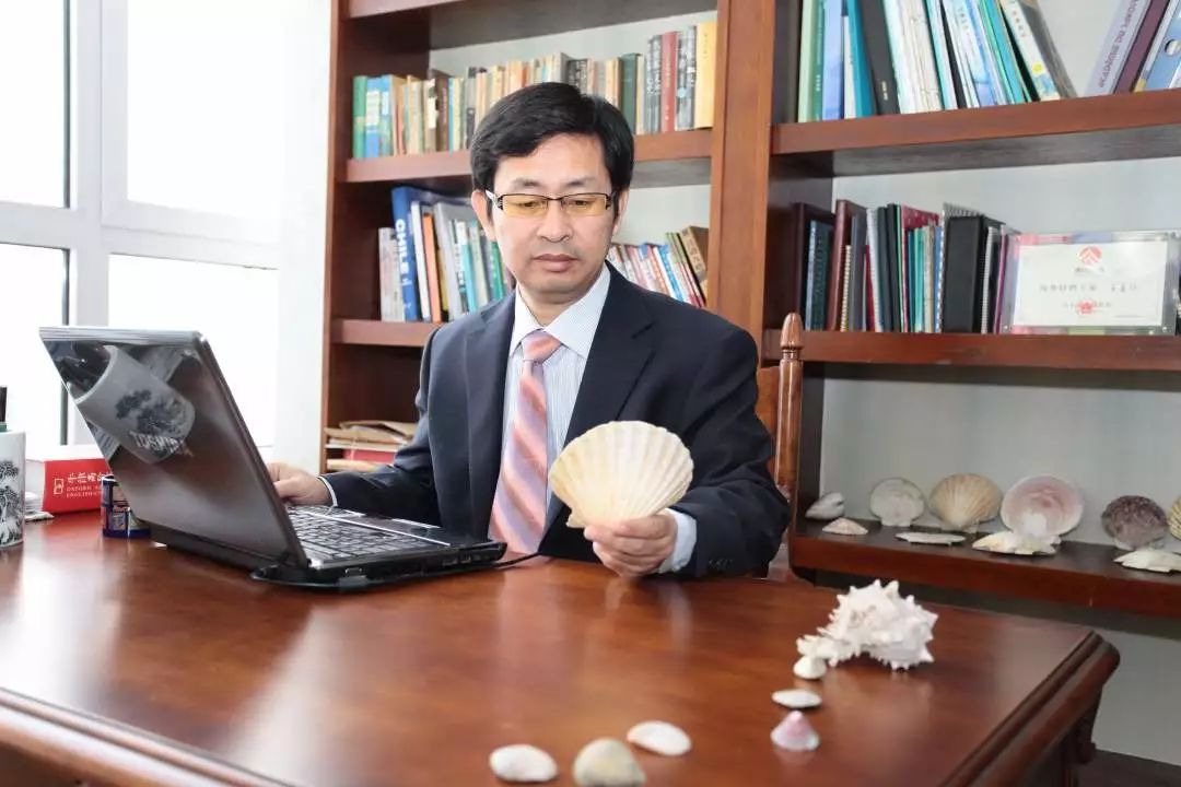 ins风！青农大学育出金色扇贝堪称“王者贝”