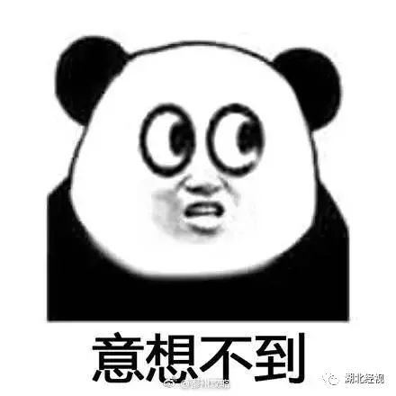 帮熊猫治好黑眼圈的办法,全球第一只黑眼睛熊猫