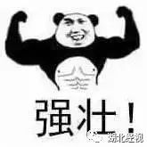 帮熊猫治好黑眼圈的办法,全球第一只黑眼睛熊猫