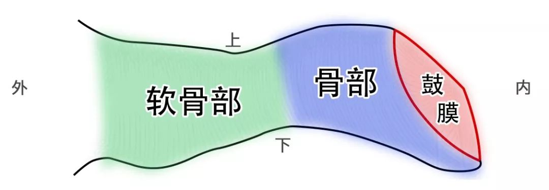 采耳最好的技术,关于友谊的科普知识