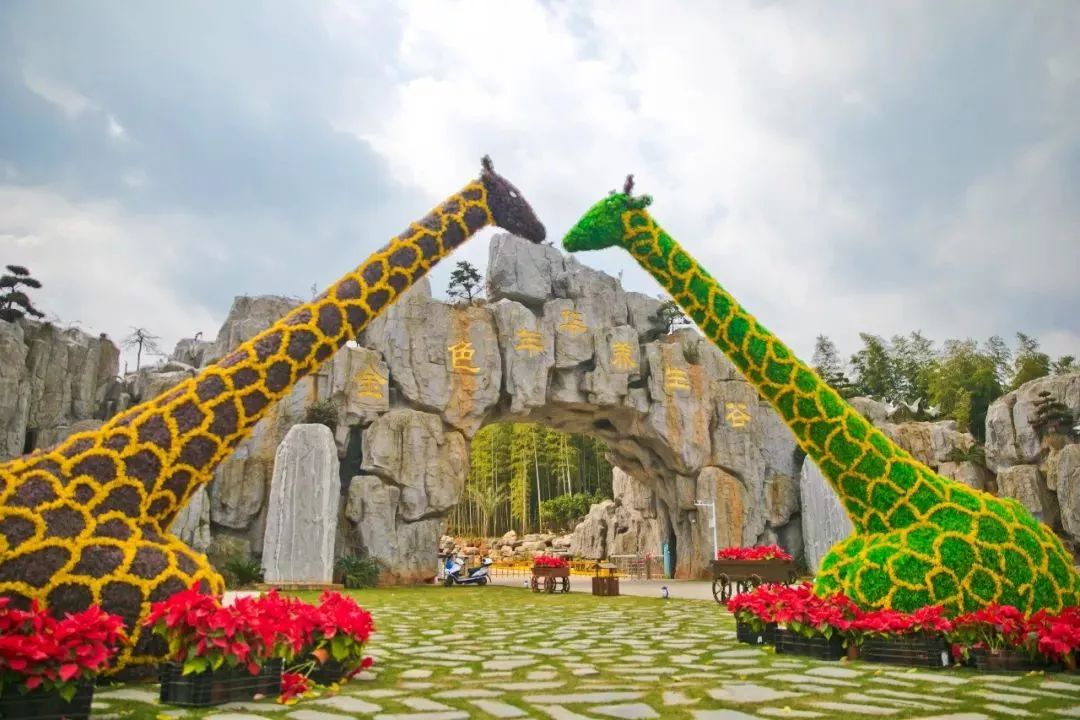 人均不到500元的旅行，说走就走的咸宁！